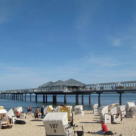 Theresa - 1 * Χέρινγκσντορφ